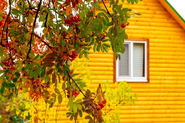 Garden Window Replacement